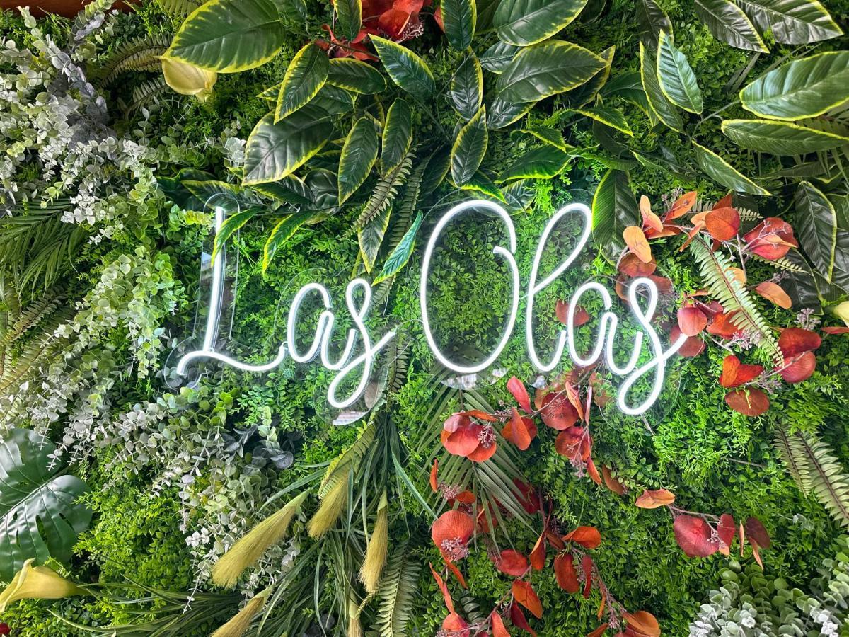 拉斯奥拉斯酒店 诺哈 外观 照片
